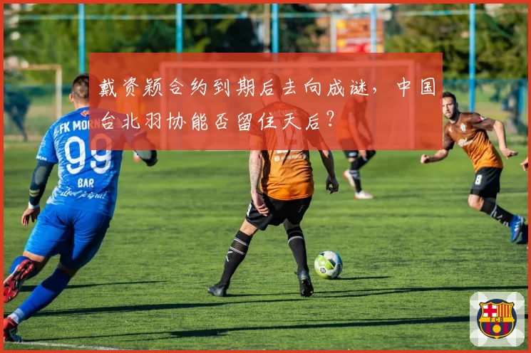戴资颖合约到期后去向成谜，中国台北羽协能否留住天后？